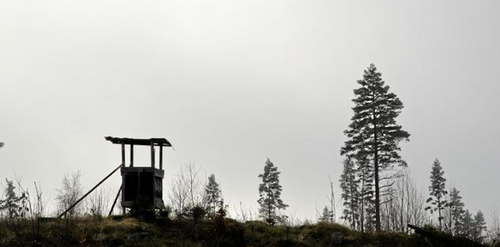 "Häktet har inte gjort fel"