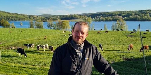 Efter kall vår: Snart klart för första skörd