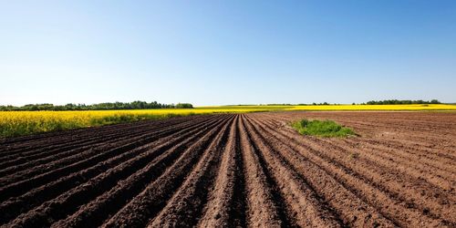 FAO: Så måste maten produceras i framtiden