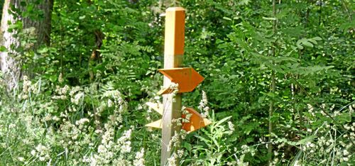 Ängelholmsskog såld för rekordpris