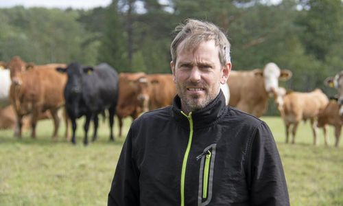 Han driver köttgården framåt med tydliga mål