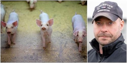 Beredskap för corona på storgårdar