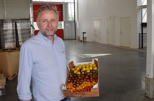– Svenska konsumenter är beredda att betala lite mer för svenskproducerade tomater, säger Mads Pedersen, ansvarig för tomatodlingen i Trelleborg som nu ska byggas ut för 50 miljoner kronor.