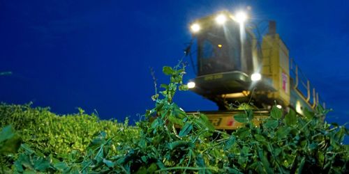 ”Dags att ta livsmedelsstrategin på allvar”