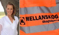 Mellanskog prisar Nyks