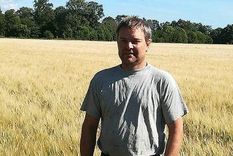 Ökade volymer för durumvete